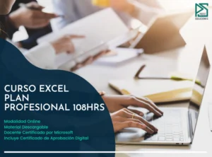 curso excel plan profesional